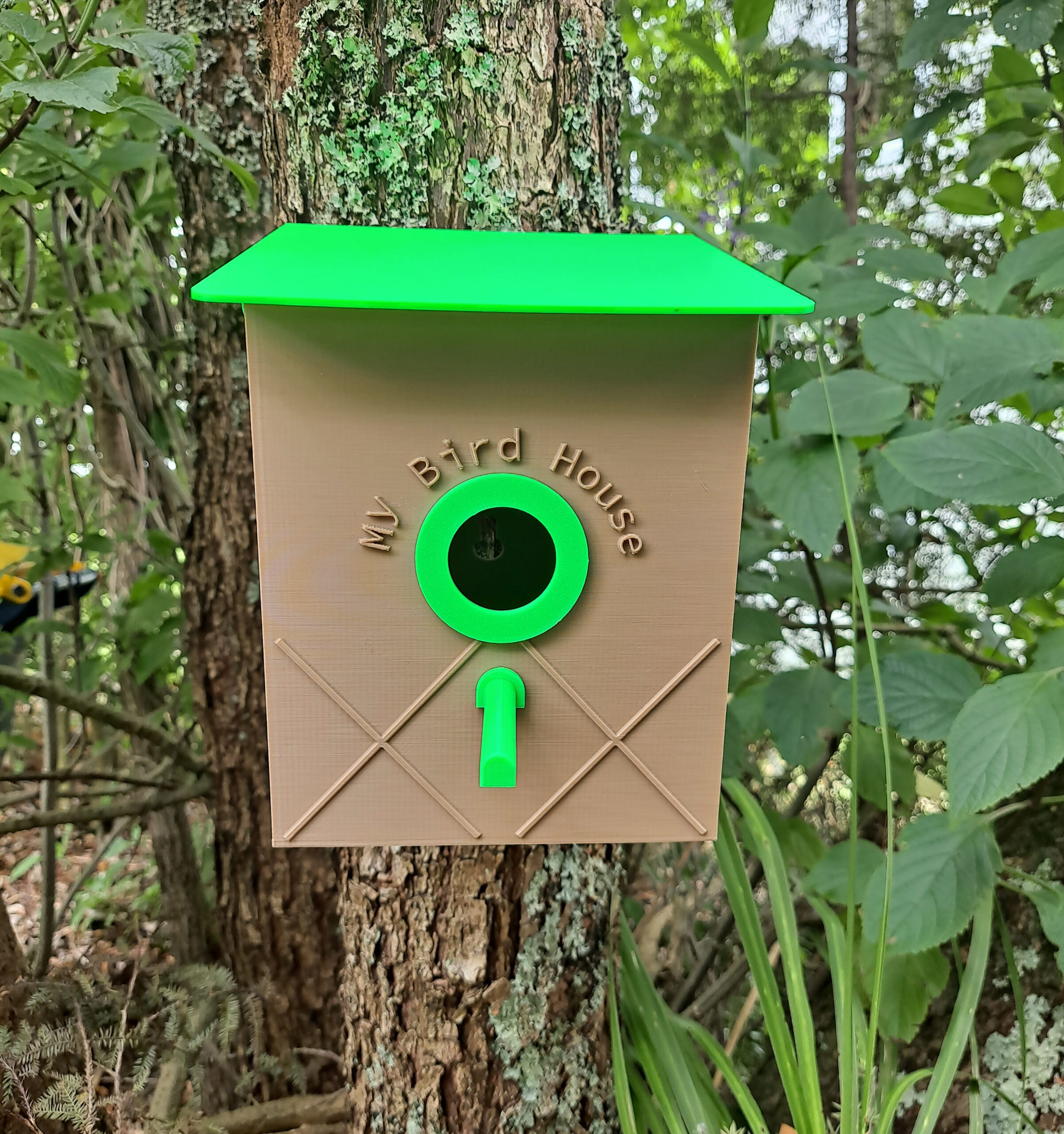 Read more about the article Outdoors